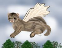 Fiona Ferret